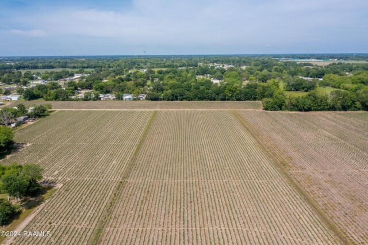 Picture of Residential Land For Sale in Henderson, Louisiana, United States