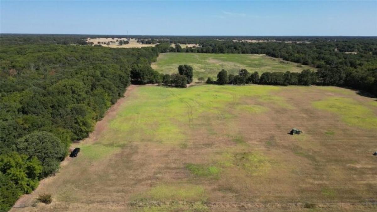 Picture of Residential Land For Sale in Telephone, Texas, United States