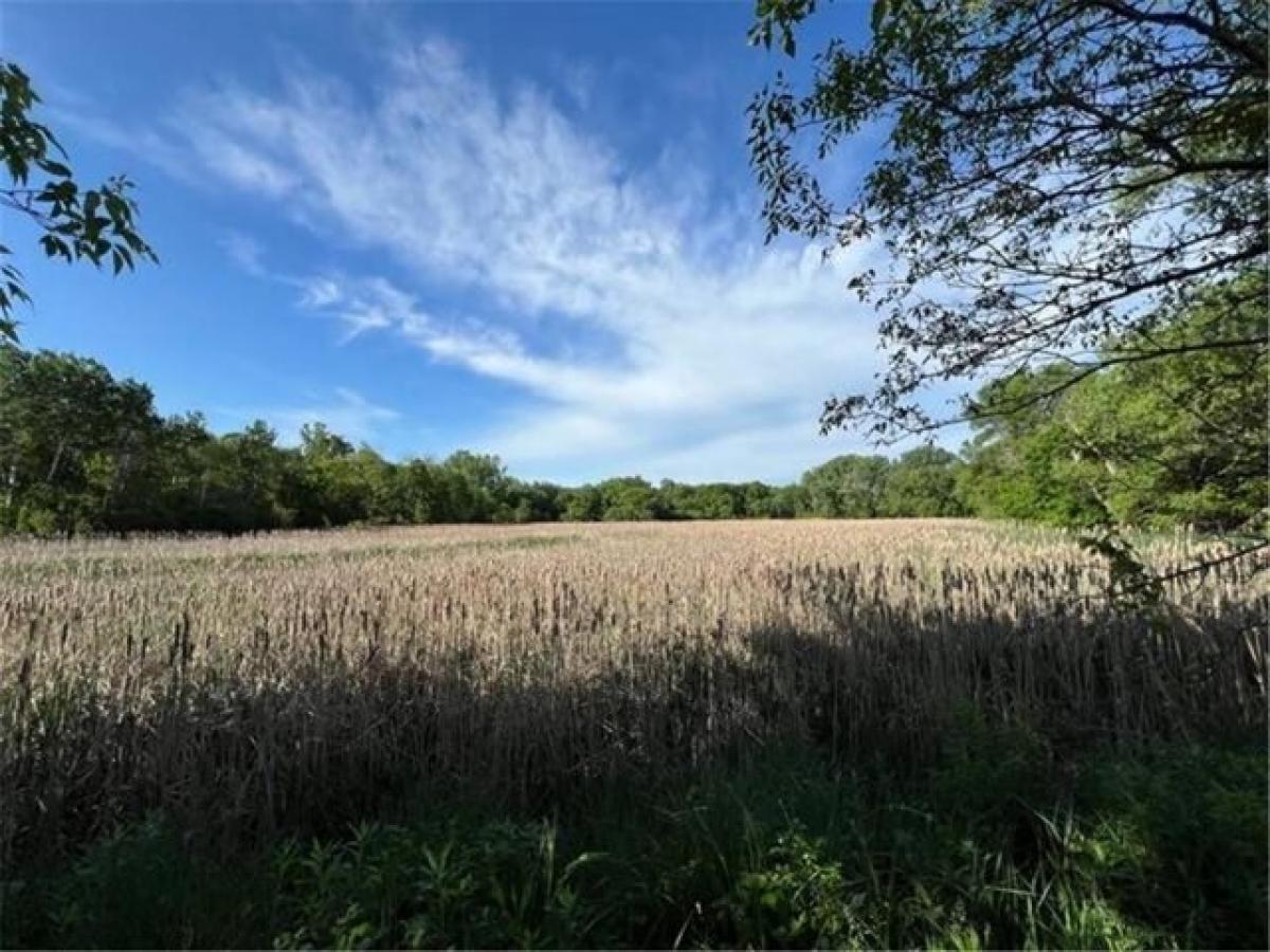 Picture of Home For Sale in Coon Rapids, Minnesota, United States