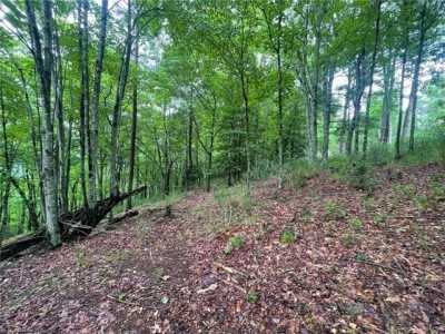 Residential Land For Sale in Traphill, North Carolina