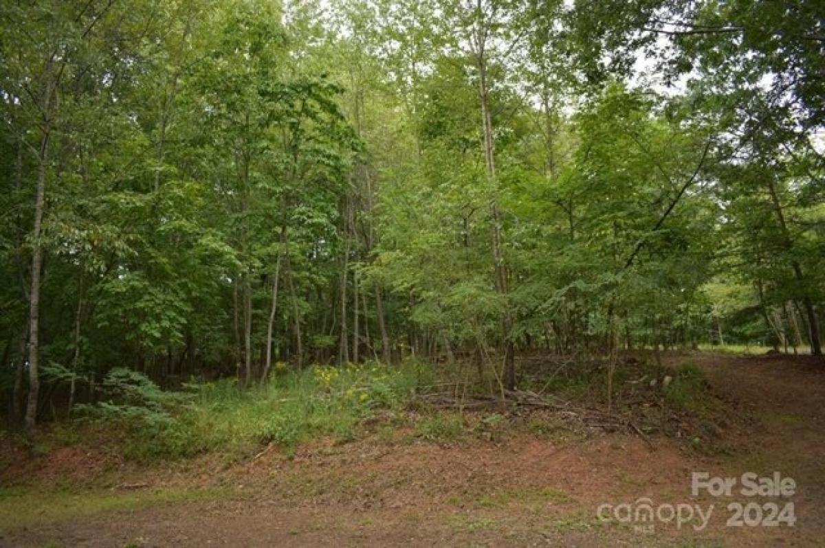 Picture of Residential Land For Sale in Lake Lure, North Carolina, United States