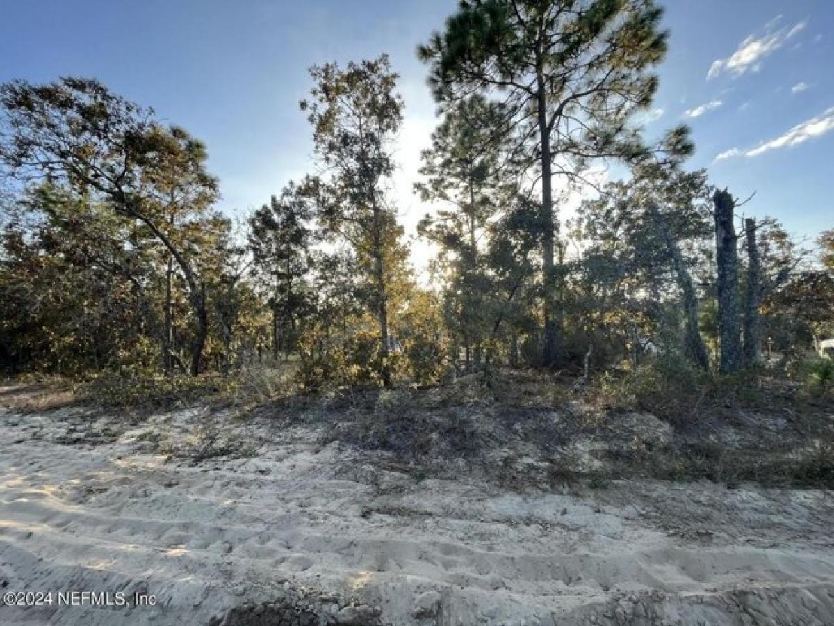 Picture of Residential Land For Rent in Keystone Heights, Florida, United States