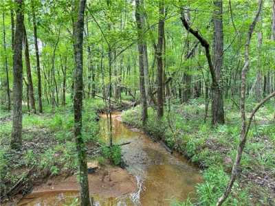 Residential Land For Sale in Auburn, Alabama