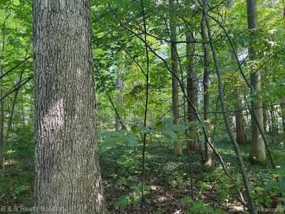 Residential Land For Sale in Deerfield, Michigan