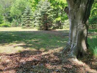 Residential Land For Sale in Whitehall, Michigan