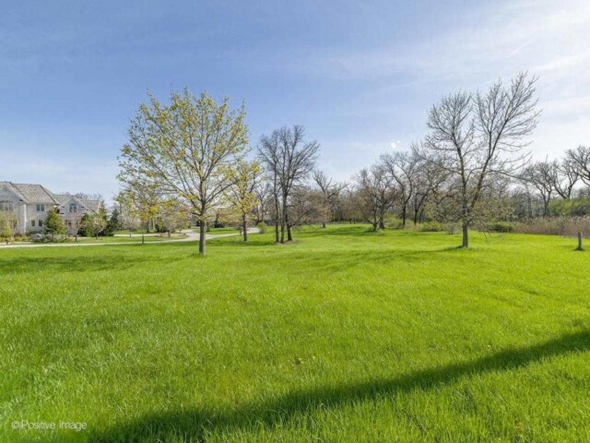 Picture of Residential Land For Sale in Oak Brook, Illinois, United States