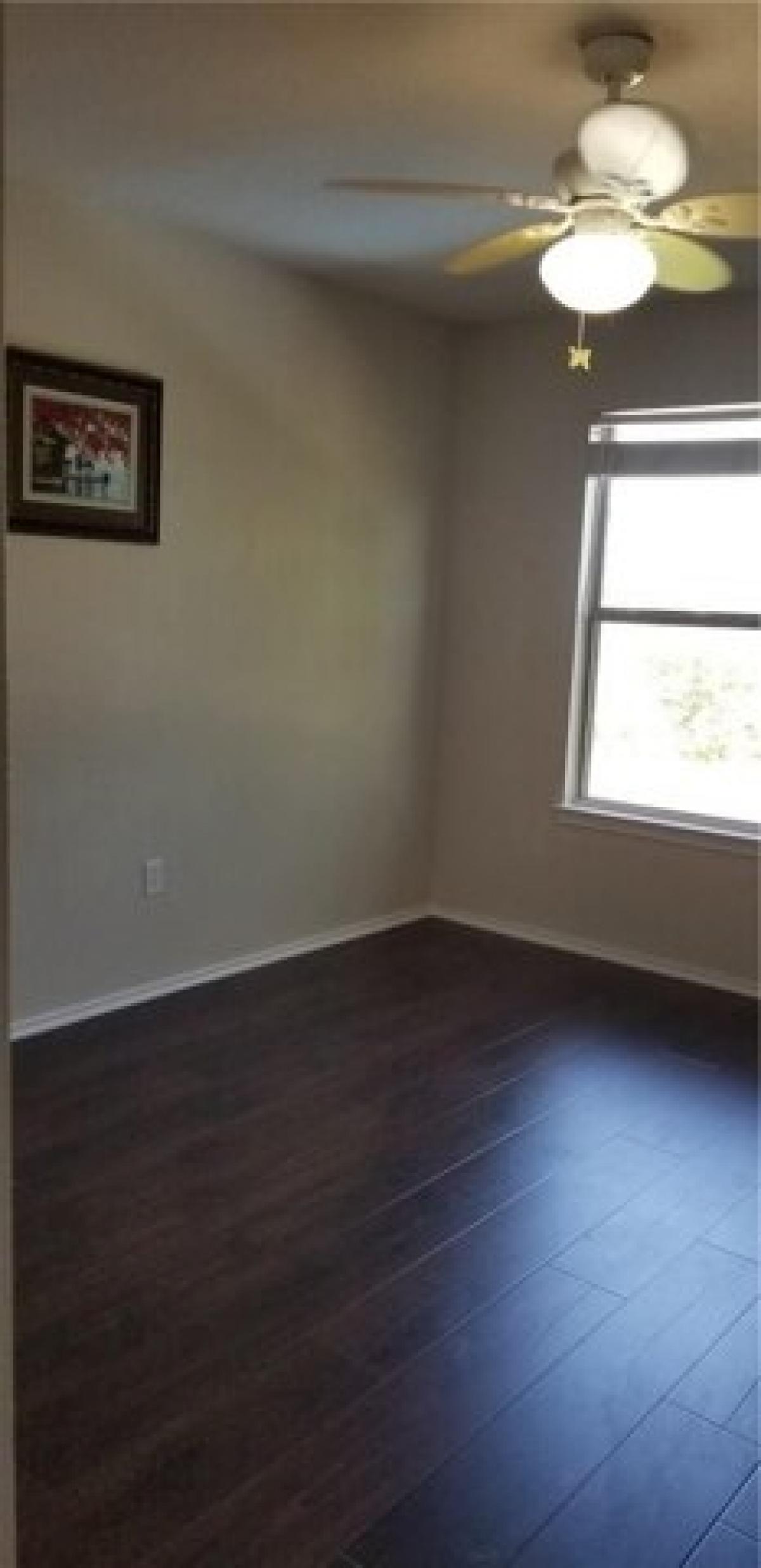 Picture of Home For Rent in Wylie, Texas, United States