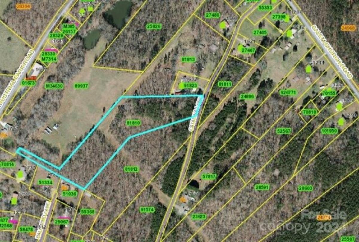 Picture of Residential Land For Sale in Lincolnton, North Carolina, United States