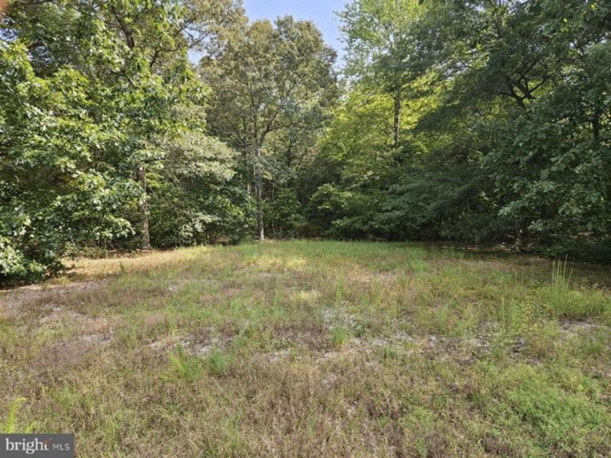 Picture of Residential Land For Sale in Seaford, Delaware, United States