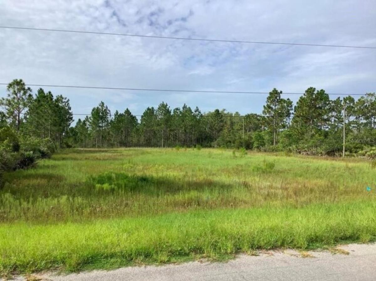 Picture of Residential Land For Sale in Orlando, Florida, United States