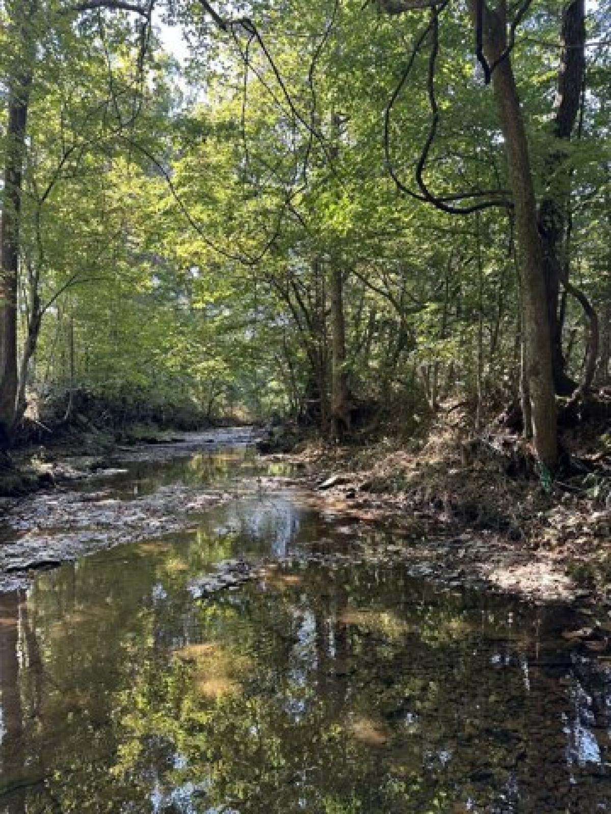 Picture of Residential Land For Sale in Cottontown, Tennessee, United States