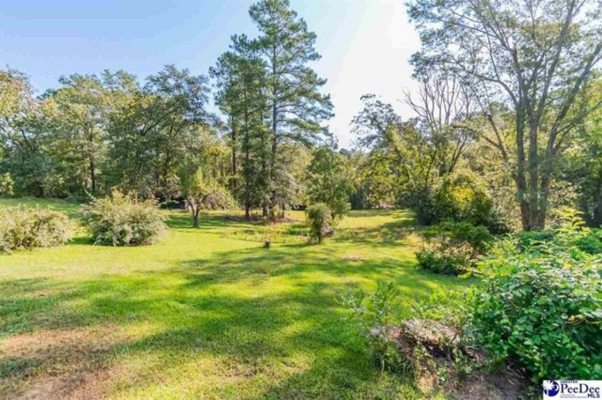 Picture of Home For Sale in Wallace, South Carolina, United States