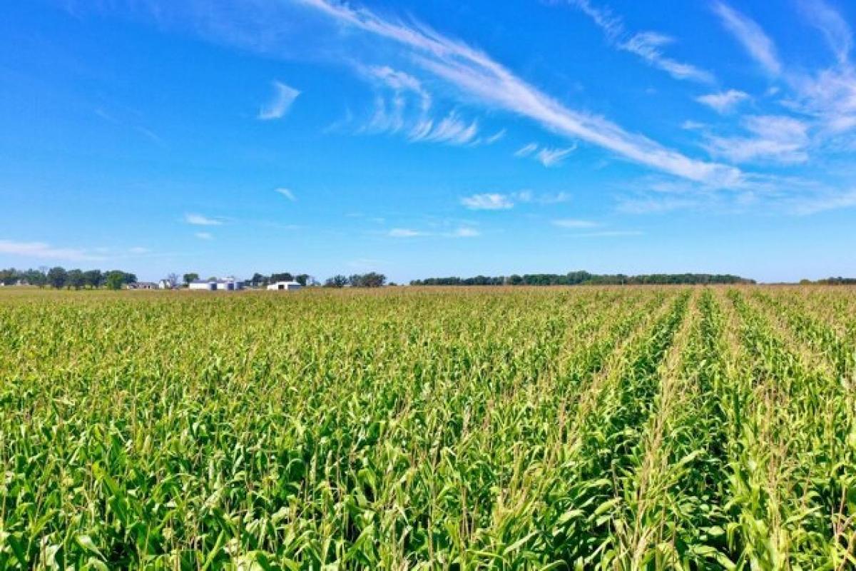 Picture of Residential Land For Sale in Charles City, Iowa, United States