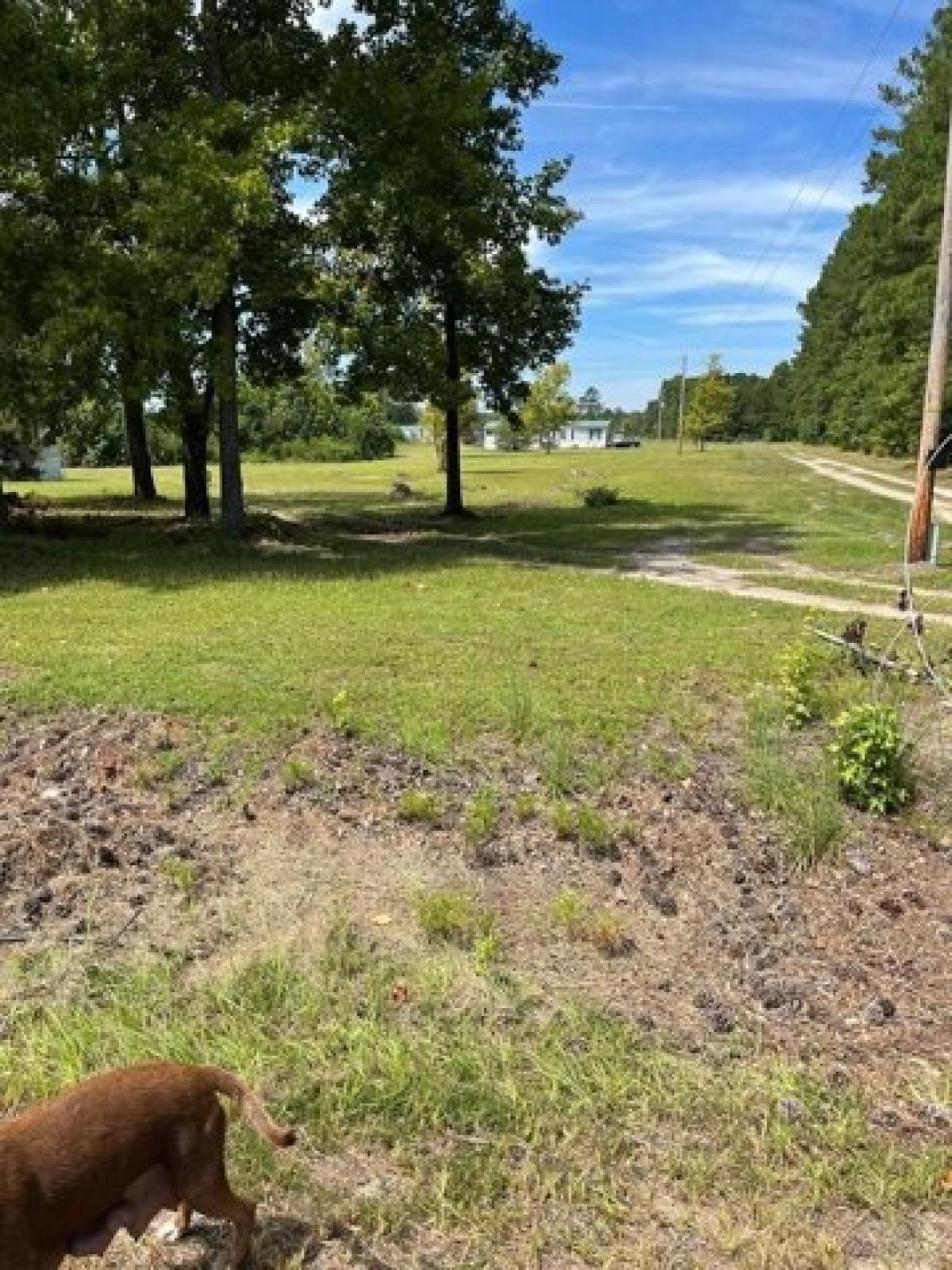 Picture of Home For Sale in Cope, South Carolina, United States