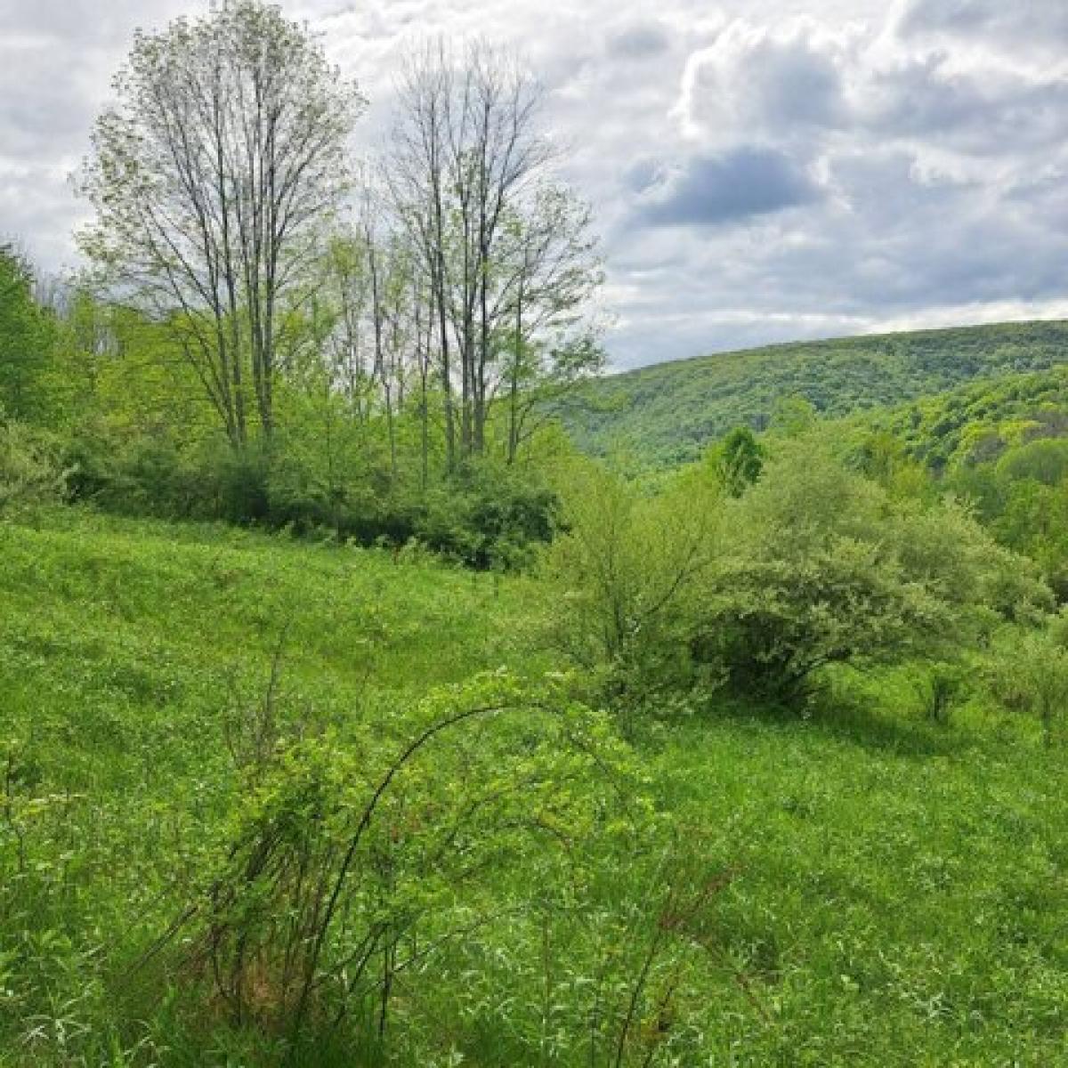 Picture of Residential Land For Sale in Millerton, Pennsylvania, United States