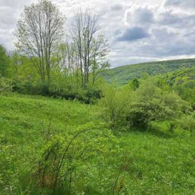 Residential Land For Sale in 