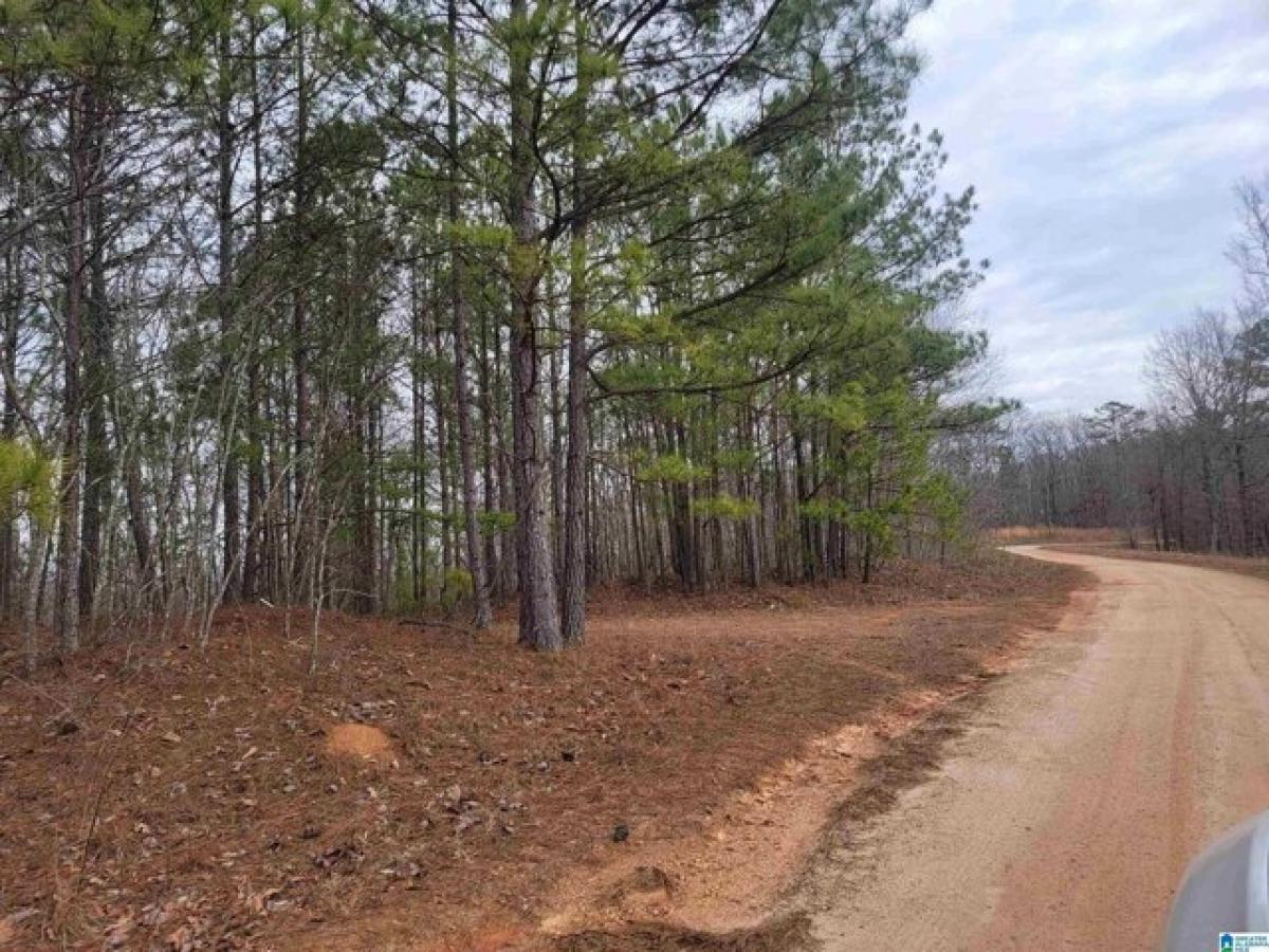 Picture of Residential Land For Sale in Heflin, Alabama, United States