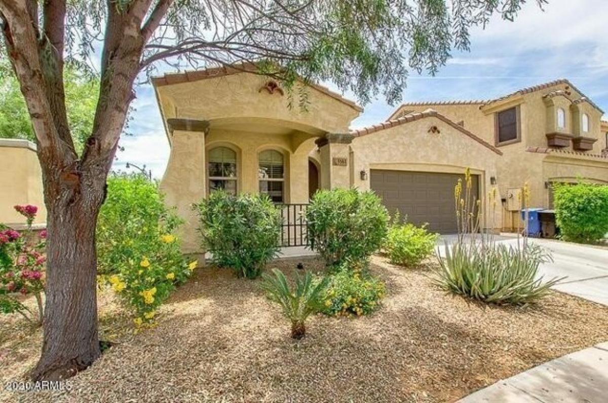 Picture of Home For Rent in Gilbert, Arizona, United States