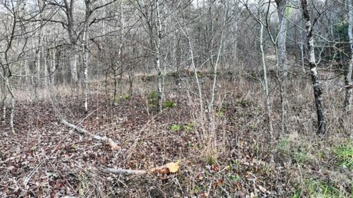 Picture of Residential Land For Sale in Cosby, Tennessee, United States