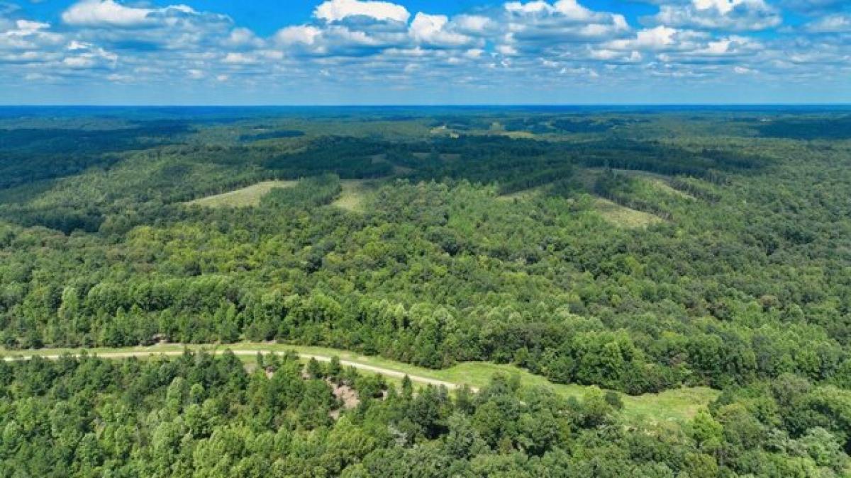 Picture of Residential Land For Sale in Indian Mound, Tennessee, United States