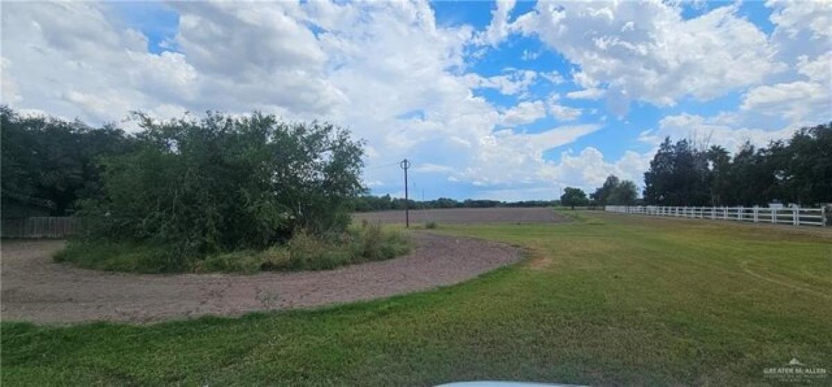 Picture of Residential Land For Sale in Donna, Texas, United States