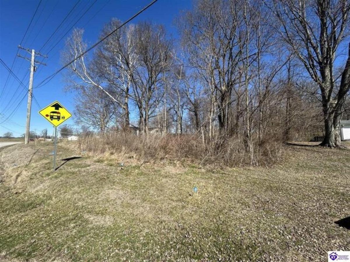 Picture of Residential Land For Sale in Ekron, Kentucky, United States