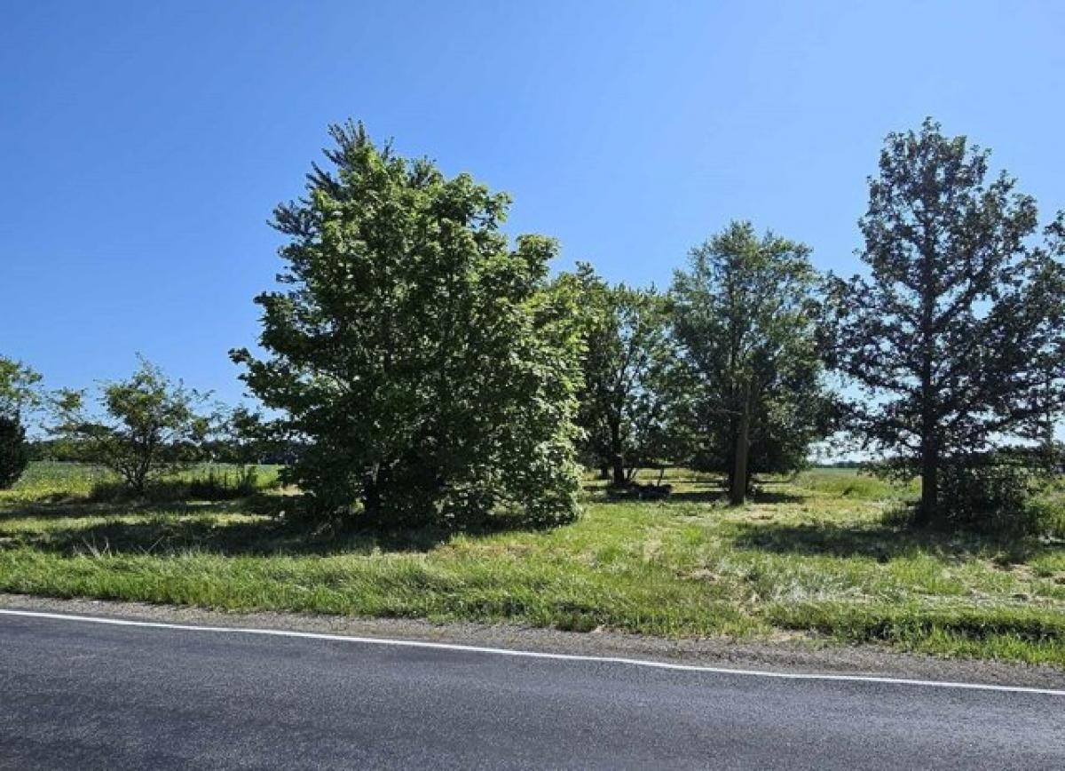 Picture of Residential Land For Sale in Bellevue, Michigan, United States