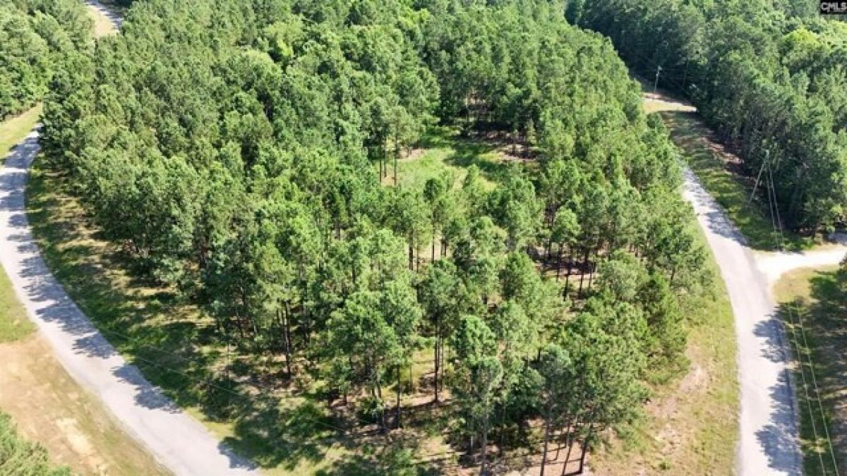 Picture of Residential Land For Sale in Ridgeway, South Carolina, United States