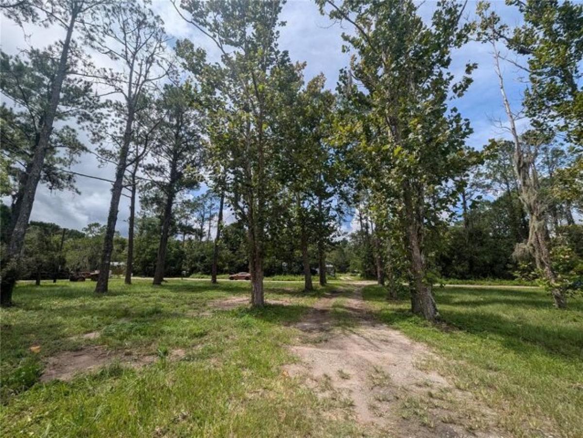 Picture of Residential Land For Sale in Saint Augustine, Florida, United States