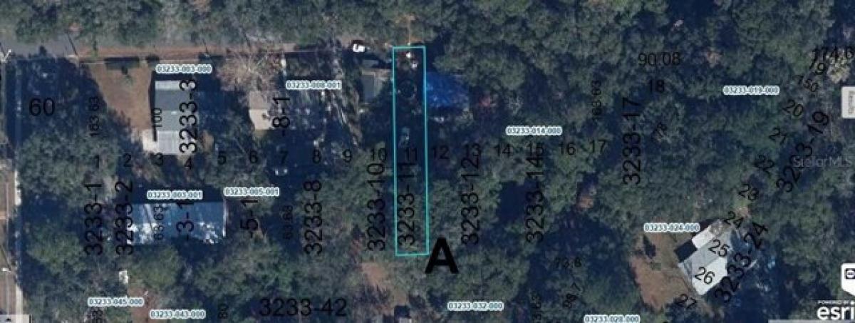 Picture of Residential Land For Sale in Alachua, Florida, United States