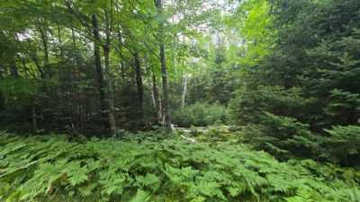 Residential Land For Sale in 