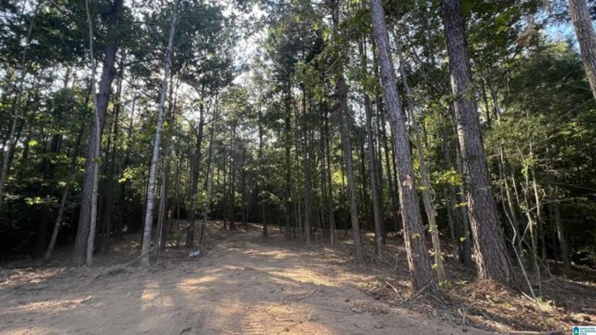 Picture of Residential Land For Sale in Ragland, Alabama, United States