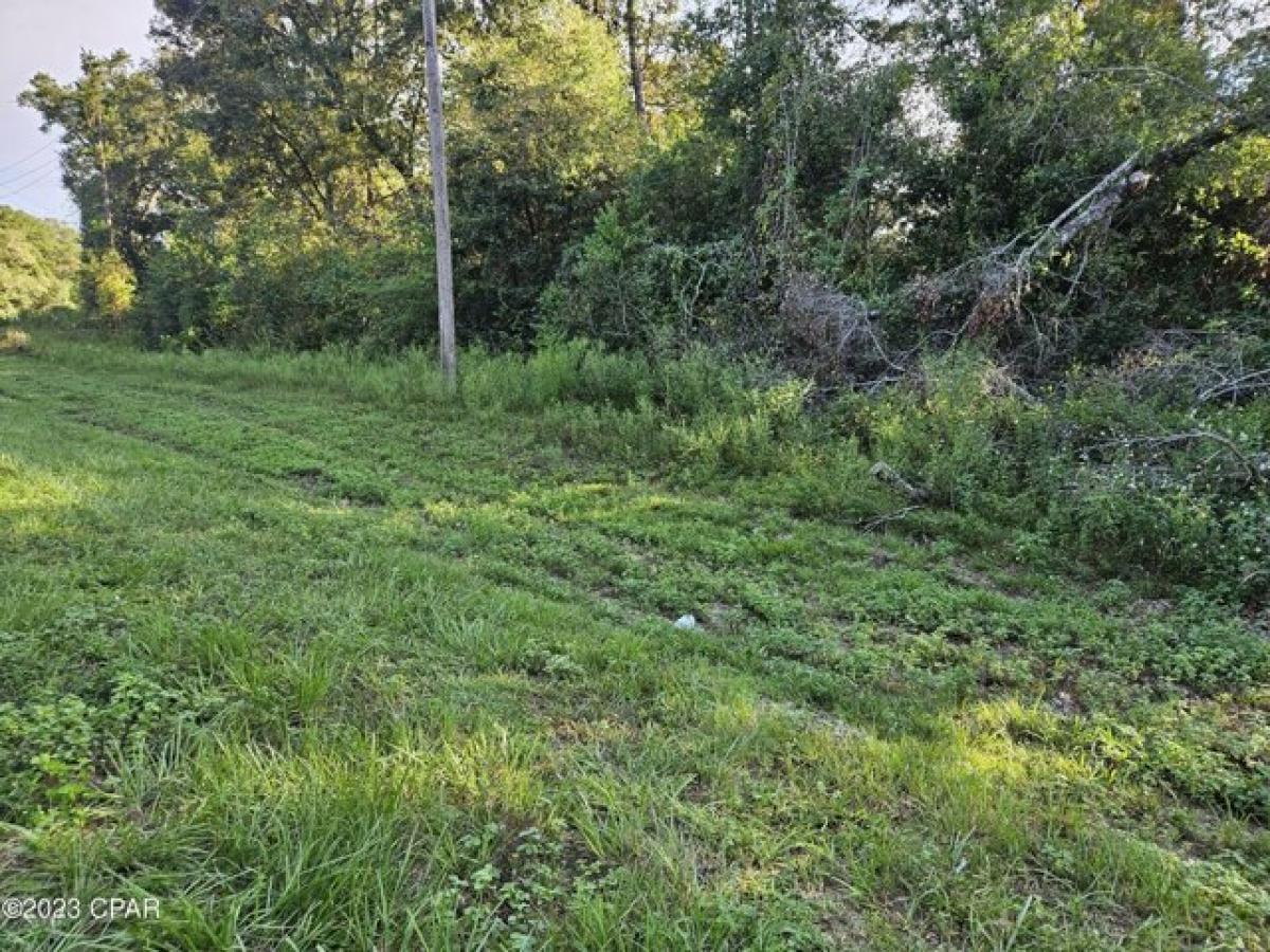 Picture of Residential Land For Sale in Vernon, Florida, United States