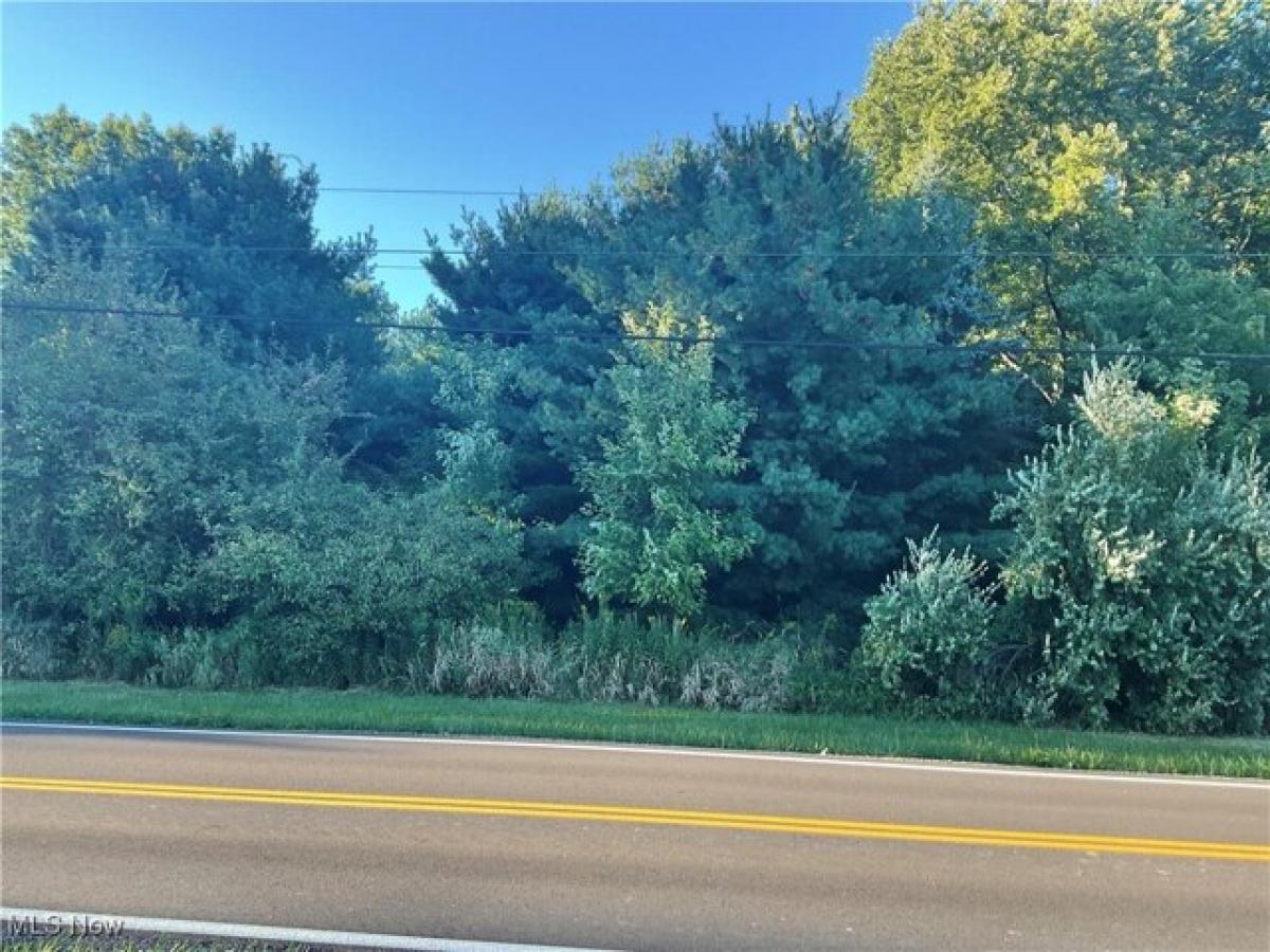 Picture of Residential Land For Sale in Salem, Ohio, United States