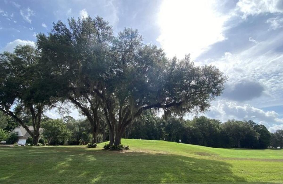 Picture of Residential Land For Sale in Tallahassee, Florida, United States