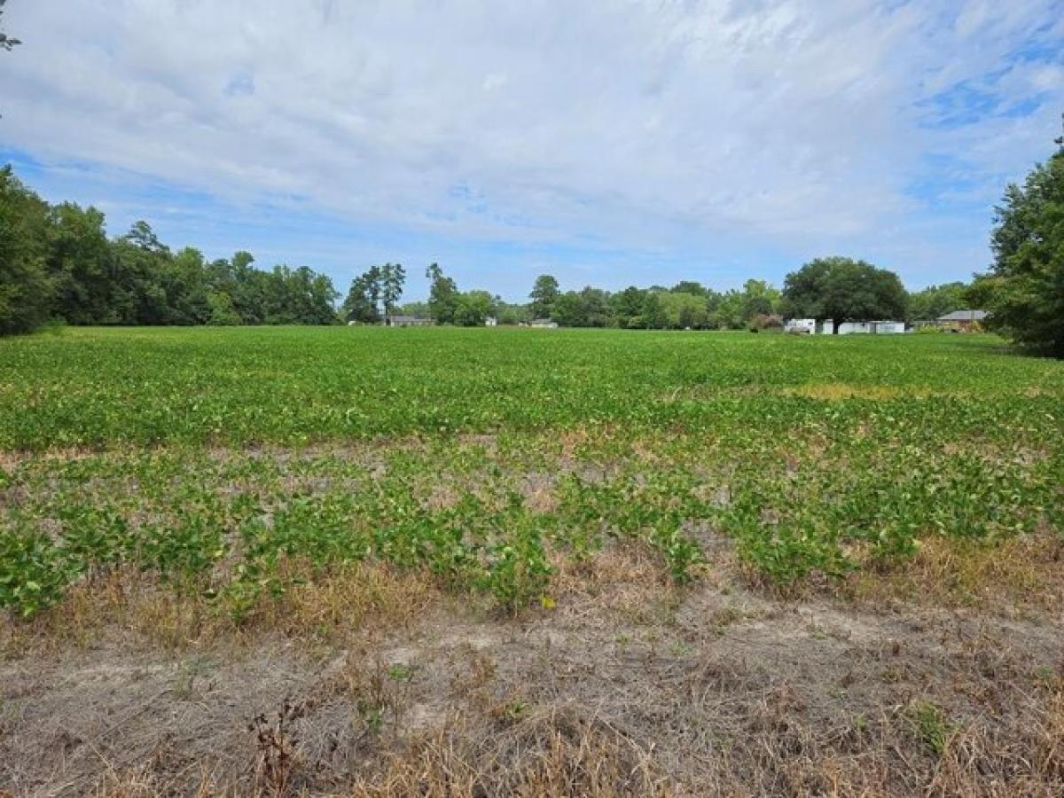 Picture of Residential Land For Sale in Olanta, South Carolina, United States