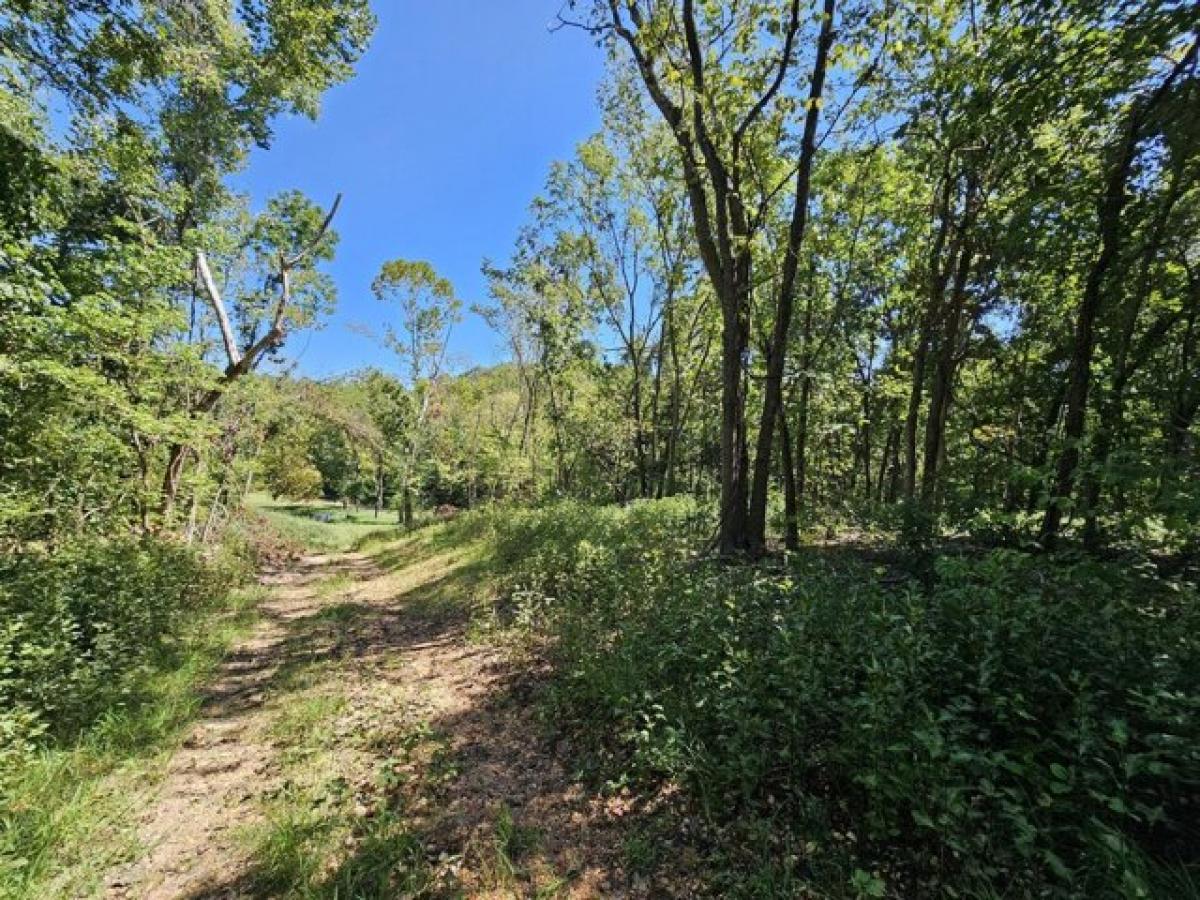 Picture of Residential Land For Sale in Anderson, Missouri, United States