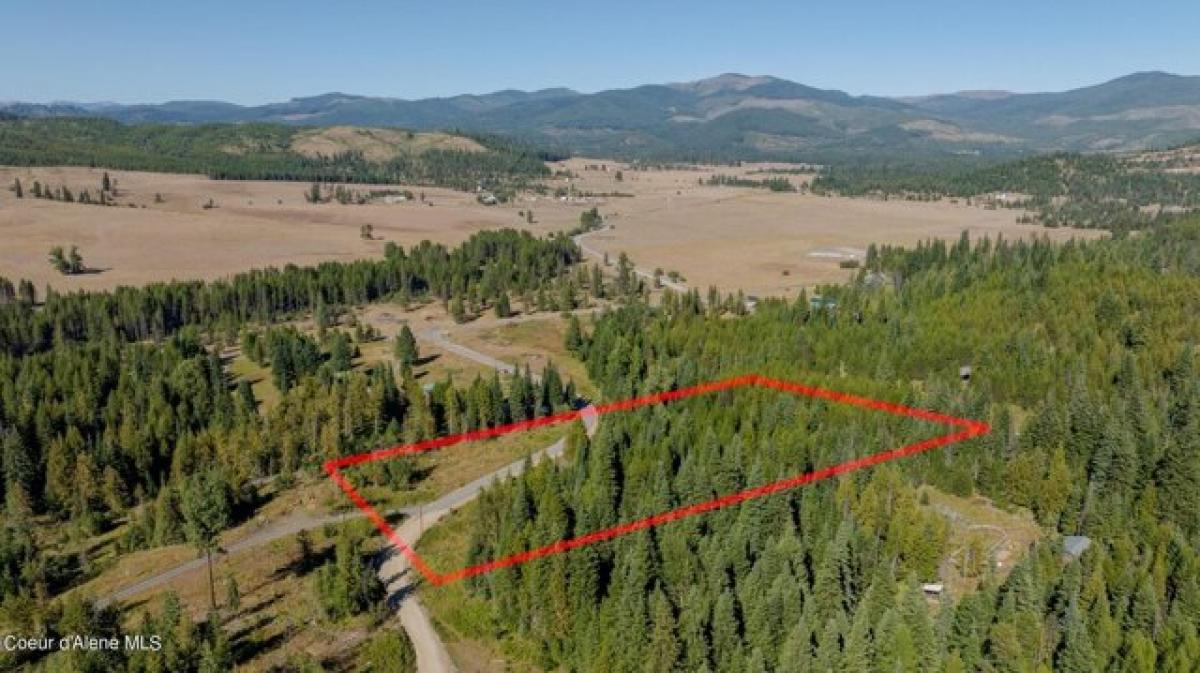 Picture of Residential Land For Sale in Fernwood, Idaho, United States