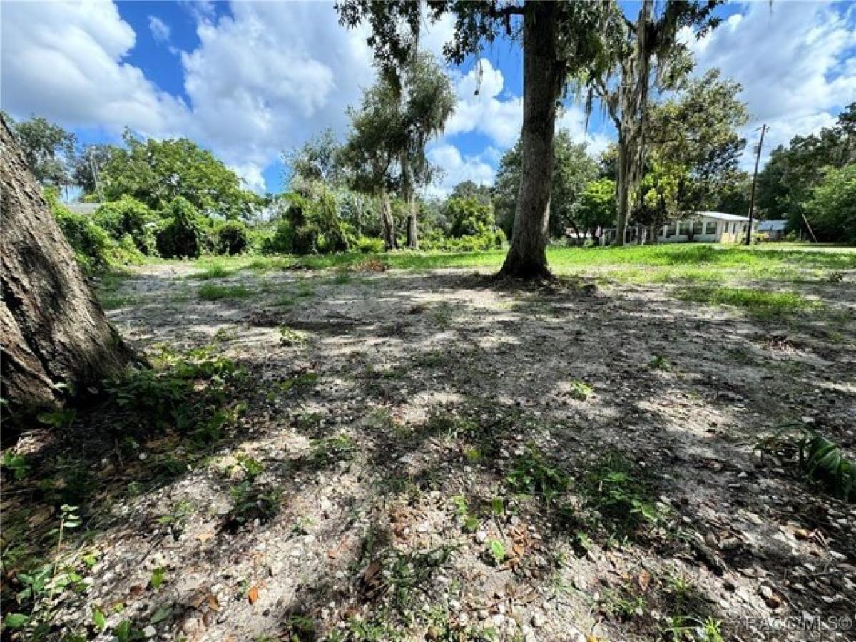 Picture of Residential Land For Sale in Floral City, Florida, United States