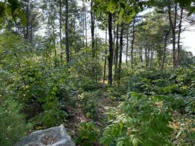 Residential Land For Sale in Raymond, Maine