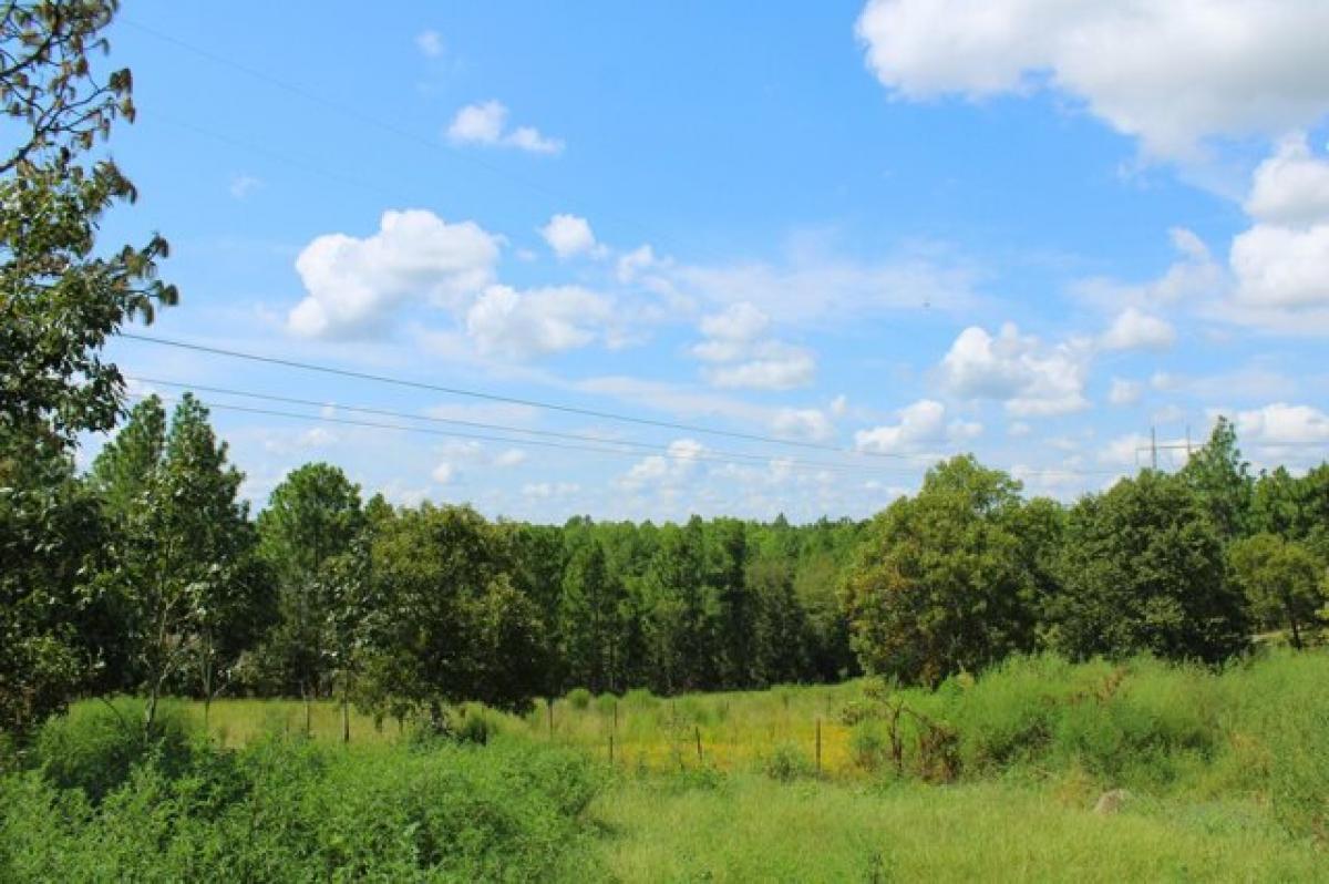 Picture of Home For Sale in Blythe, Georgia, United States