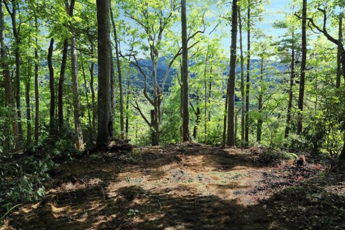 Picture of Residential Land For Sale in Waynesville, North Carolina, United States