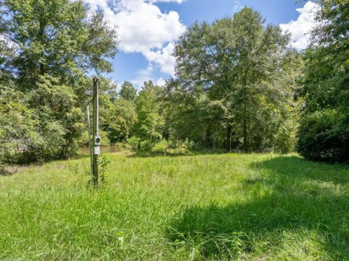 Picture of Residential Land For Sale in Laurel, Mississippi, United States