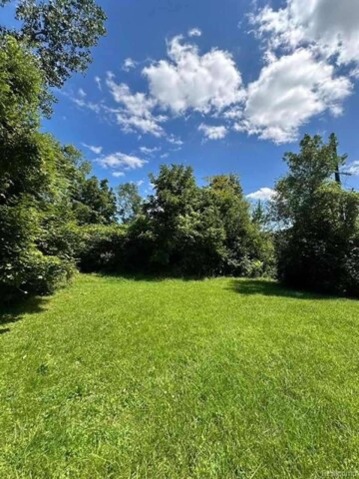 Picture of Residential Land For Sale in Highland Park, Michigan, United States