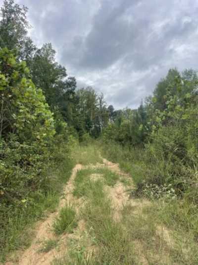 Residential Land For Sale in Pachuta, Mississippi