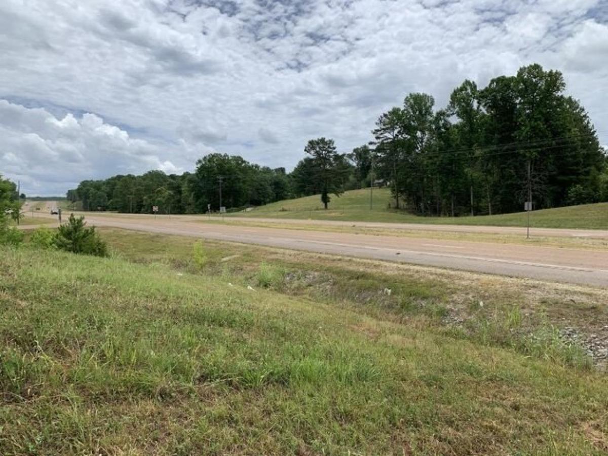 Picture of Residential Land For Sale in Savannah, Tennessee, United States