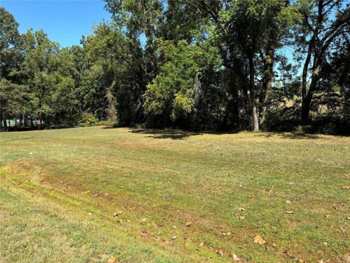 Picture of Residential Land For Sale in Chaffee, Missouri, United States