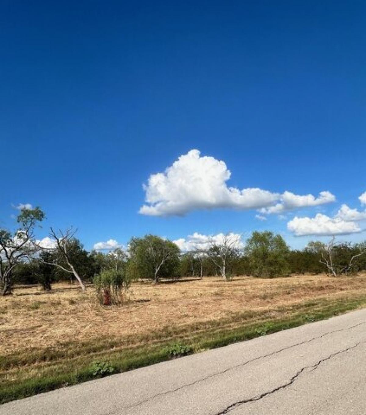 Picture of Residential Land For Sale in Kemp, Texas, United States