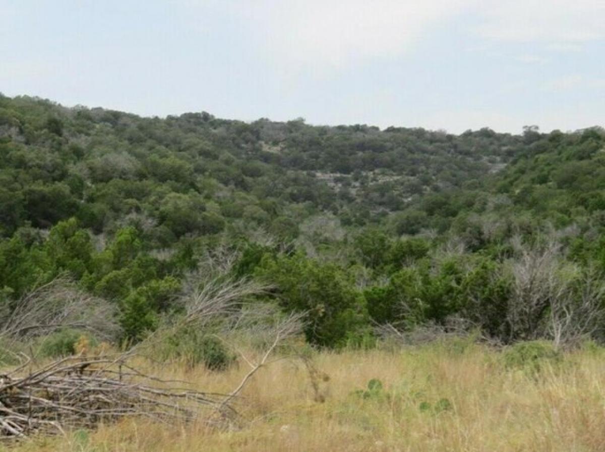 Picture of Residential Land For Sale in Comstock, Texas, United States