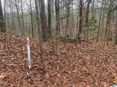 Residential Land For Rent in Birmingham, Alabama